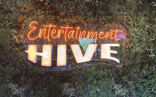 Entertainment Hive Projects